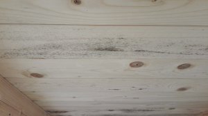 IMG_20180418_085508.jpg