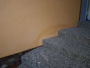k-Feuchtigkeit Treppenbereich.jpg