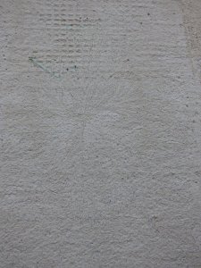 p541Eisblume.JPG