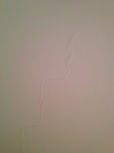 IMG_0106.JPG