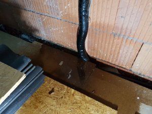 IMG-20180426-WA0021.jpg