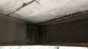 IMG_20180428_134436.jpg