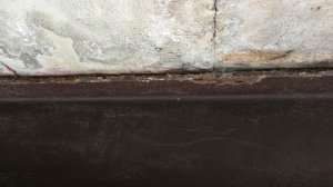 IMG_20180428_134457.jpg