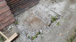 20180511_151316.jpg