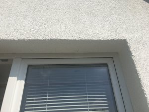 4FAFE2F5-B956-417C-AA79-2BECD4E679F9.jpeg