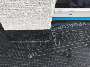 IMG_3362.JPG