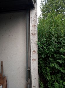 IMG_20180527_195219a.jpg
