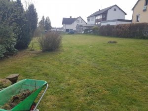 20170407_163216.jpg