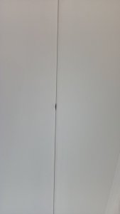 WP_20180605_17_32_16_Pro.jpg