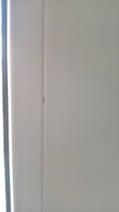 WP_20180605_17_35_00_Pro.jpg