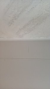 WP_20180605_17_38_08_Pro.jpg
