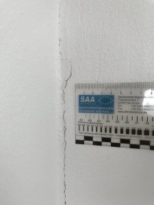 IMG_6239.JPG