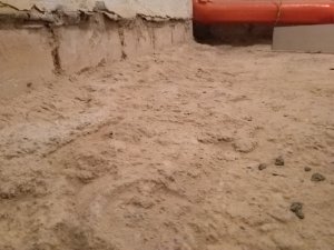 IMG_20180620_204125.jpg