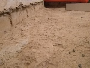 IMG_20180620_204134.jpg