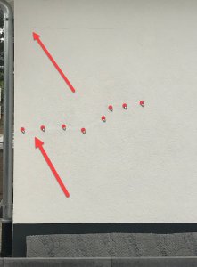 Riss-4.jpg