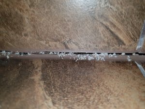 20180629_052421.jpg