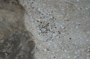 DSC_0407.JPG