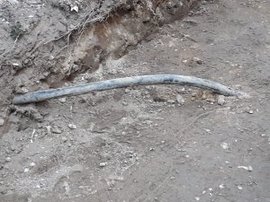 IMG-20180704-WA0005.jpg