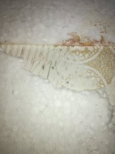 Kleber Wand.jpg