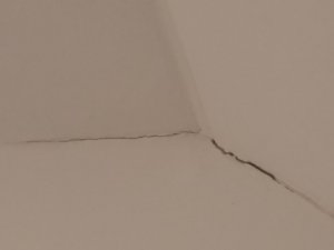 IMG_20180227_074606.jpg