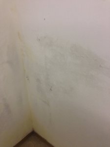 IMG_6400.JPG