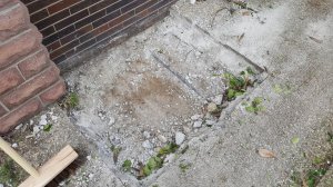 20180511_151316.jpg