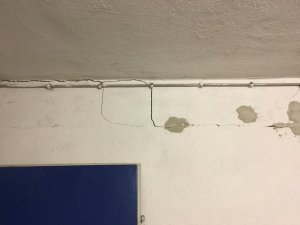 IMG_4919.JPG
