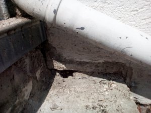 IMG_20180801_143056.jpg