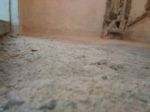 IMG_20180803_130742.jpg