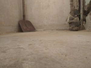 IMG_20180808_111247.jpg