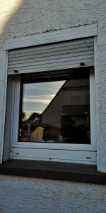 IMG_20180810_072516.jpg