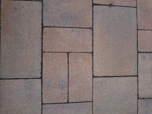 1533886192661-1161464539.jpg