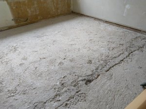 IMG_20180813_152157.jpg