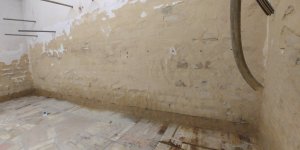 20180802_094310.jpg