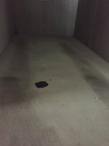 IMG_4665.JPG