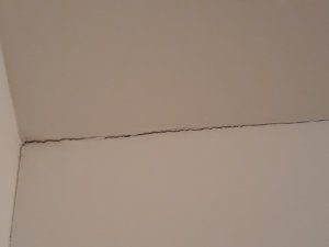 20180814_224615.jpg
