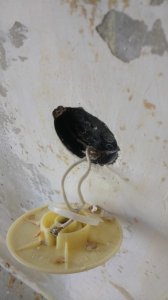 IMG-20180816-WA0036.jpg