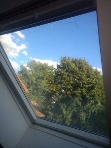 IMG_20180813_182059978.jpg