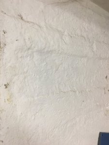 94922E74-164E-4F8D-AE92-C5026930B8CC.jpeg