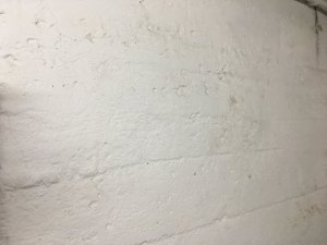 B273AA53-3486-4BD5-9B75-BF0162BC3C59.jpeg