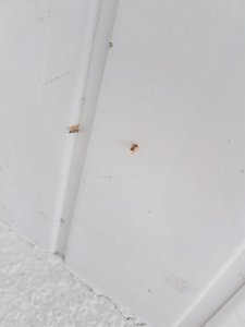 20180830_124752.jpg