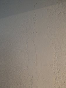 IMAG1067.jpg