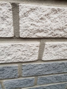 20180910_184803.jpg
