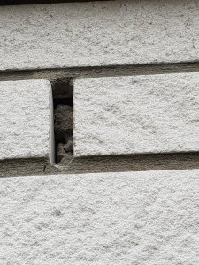 20180910_184704.jpg