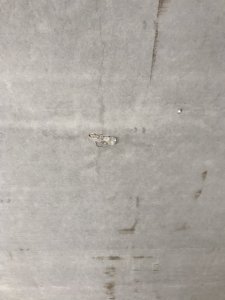 21B7D374-B41B-438C-8B70-2989CC771E68.jpeg