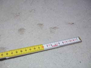 DSCF9885.JPG