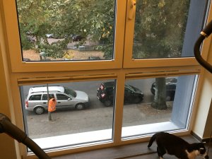Fenster.JPG
