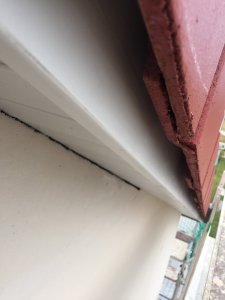 224FAFCB-C904-46FE-8F0D-C788C17EFCA5.jpeg