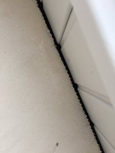 9742CA87-797E-47F0-BBF8-C9574F8A16F8.jpeg