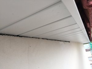 297B17EE-E609-4E15-884F-5522E911D0B9.jpeg